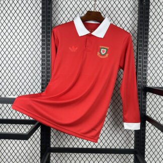 Maglia Wales Home Manica Lunga 2024/25 Versione Tifoso vista frontale completa