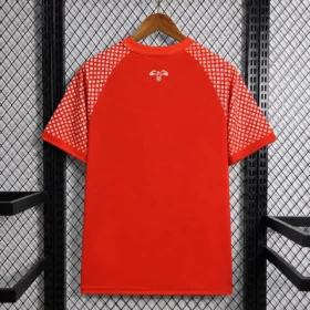 Camiseta Jordania Segunda Equipación Mundial 2026 — Foto 2