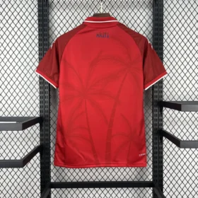 Terza Maglia Haiti Mondiale 2026 — Foto 2
