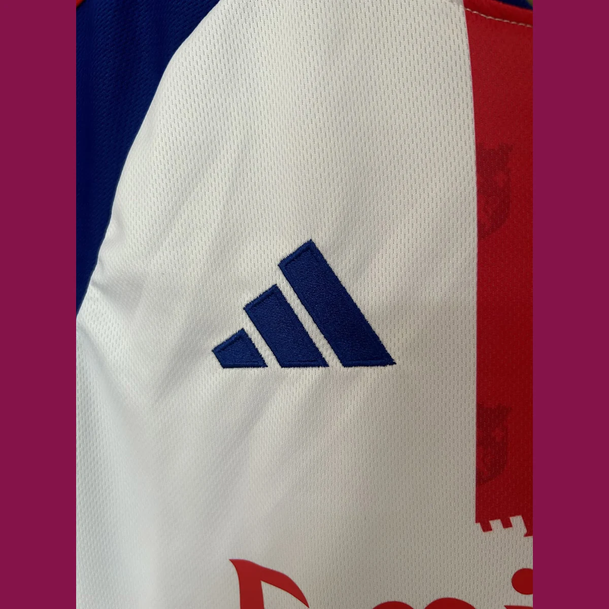 maglia Lione dettaglio