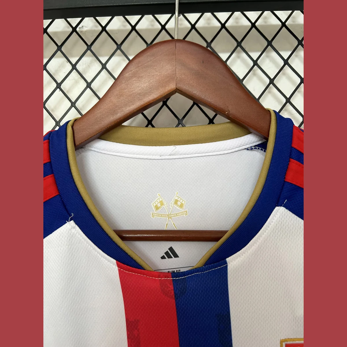 maglia Lione vista