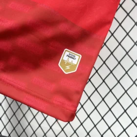 Terza Maglia Haiti Mondiale 2026 — Dettaglio prodotto