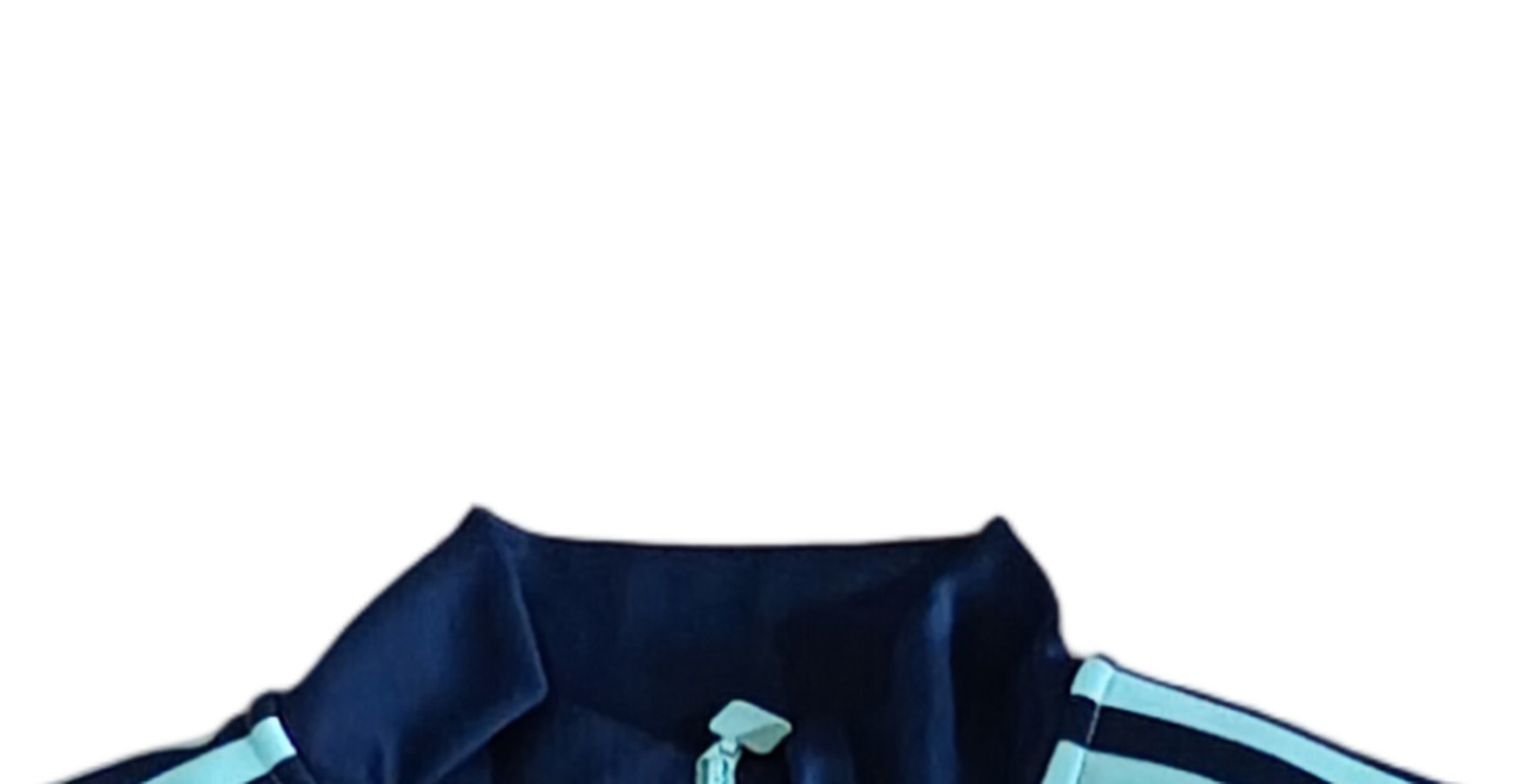 dettaglio collo blu navy e zip integrale