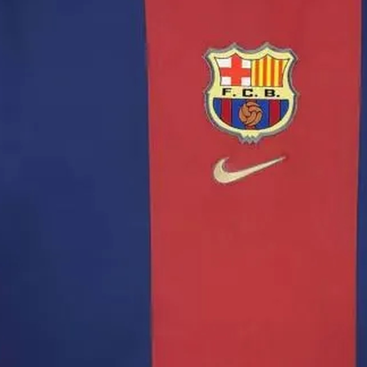 maglia barcellona 1999 stemma e petto da vicino