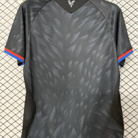 camiseta Crystal Palace - vista 5