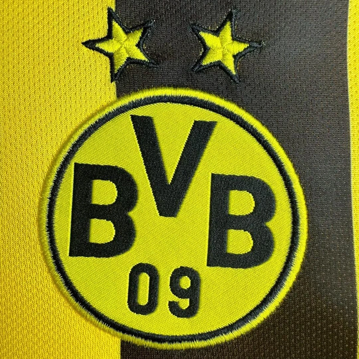 camiseta Borussia Dortmund 2013 stemma