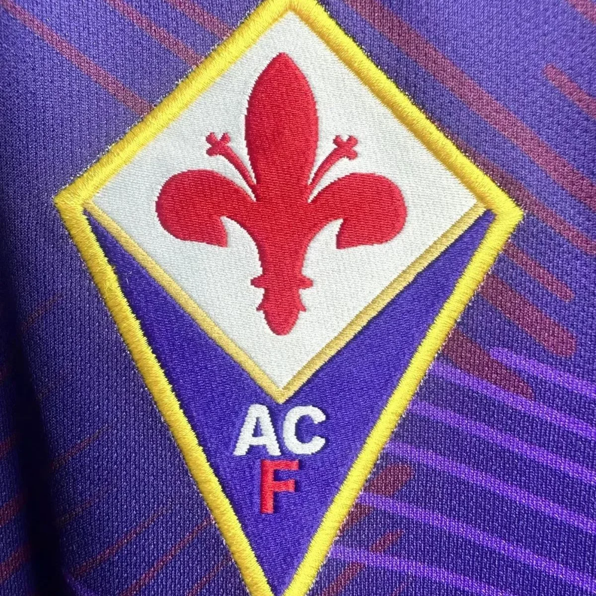 Camiseta Fiorentina 1992/93 manga larga – detalle 2