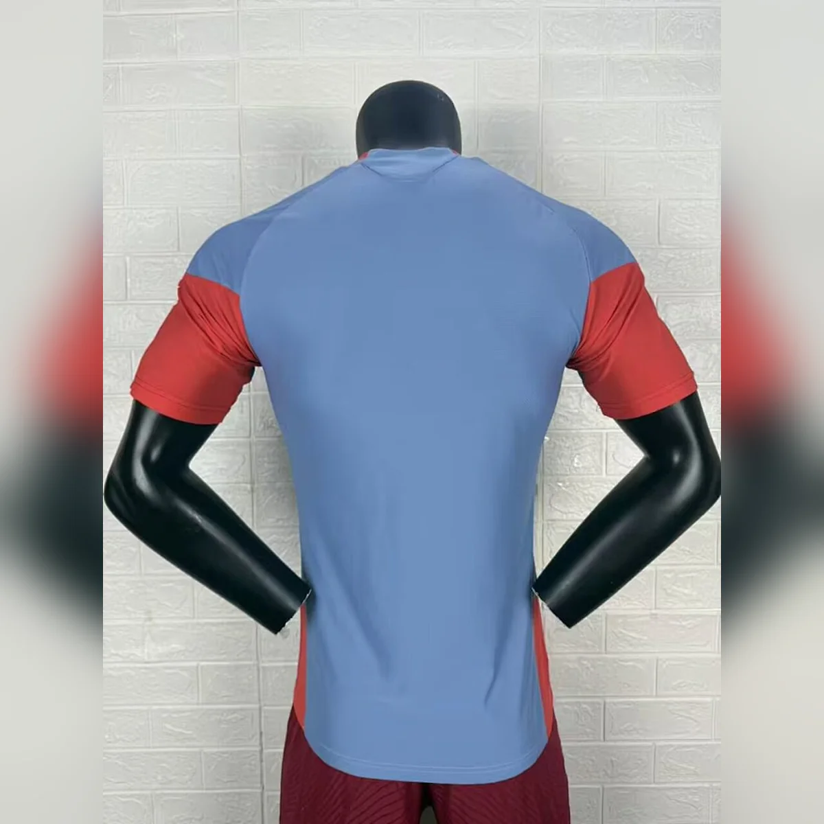 Camiseta Entrenamiento Japón 2026/27 – Jugador – espalda