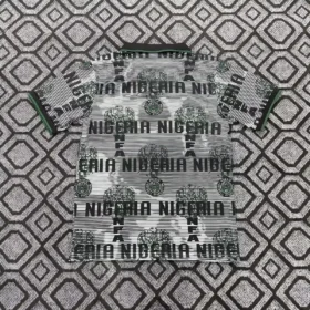 Camiseta Nigeria Especial Gris 2026/27 — Vista posterior