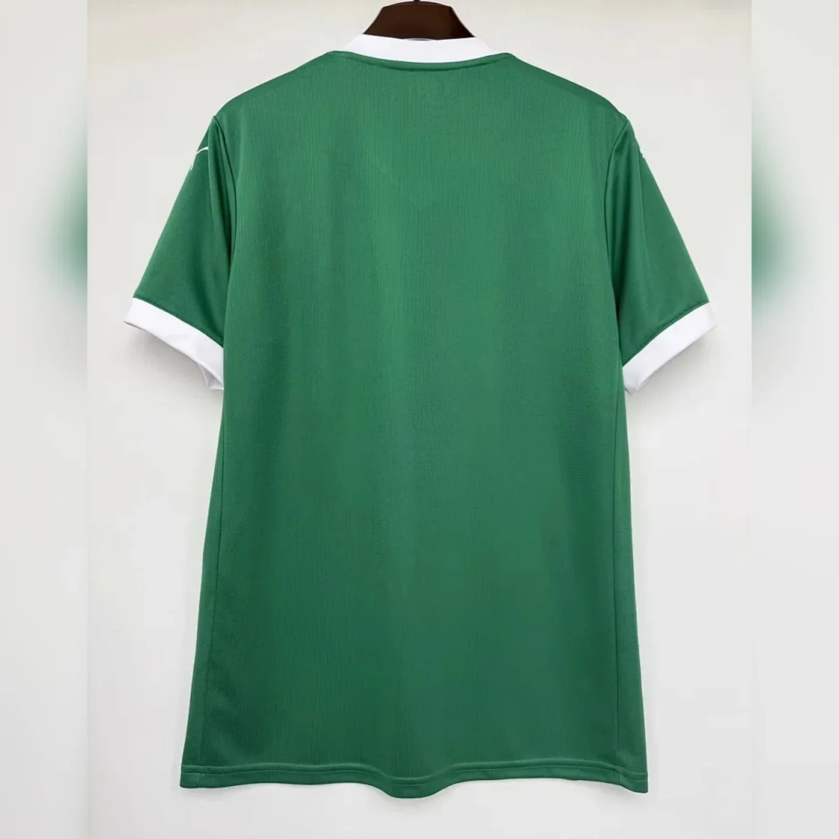 Primera Camiseta Palmeiras 2025/26 – espalda
