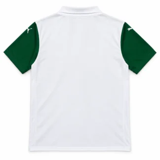 Seconda Maglia Palmeiras 2025/26 – seconda foto