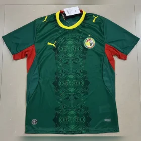 Camiseta Senegal Segunda Equipación 2026/27 — Vista frontal